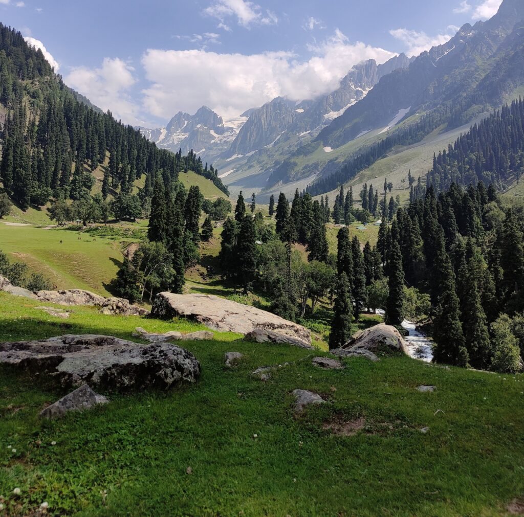 Kashmir in winter - snow-covered mountains and forest